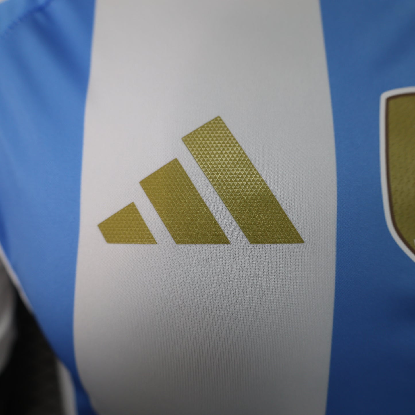 argentina 2025 home jersey