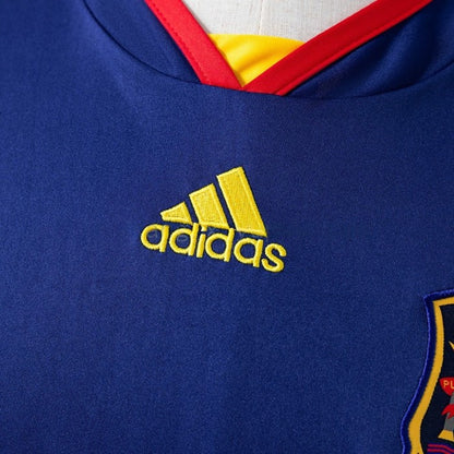 Spain 2010 away jersey