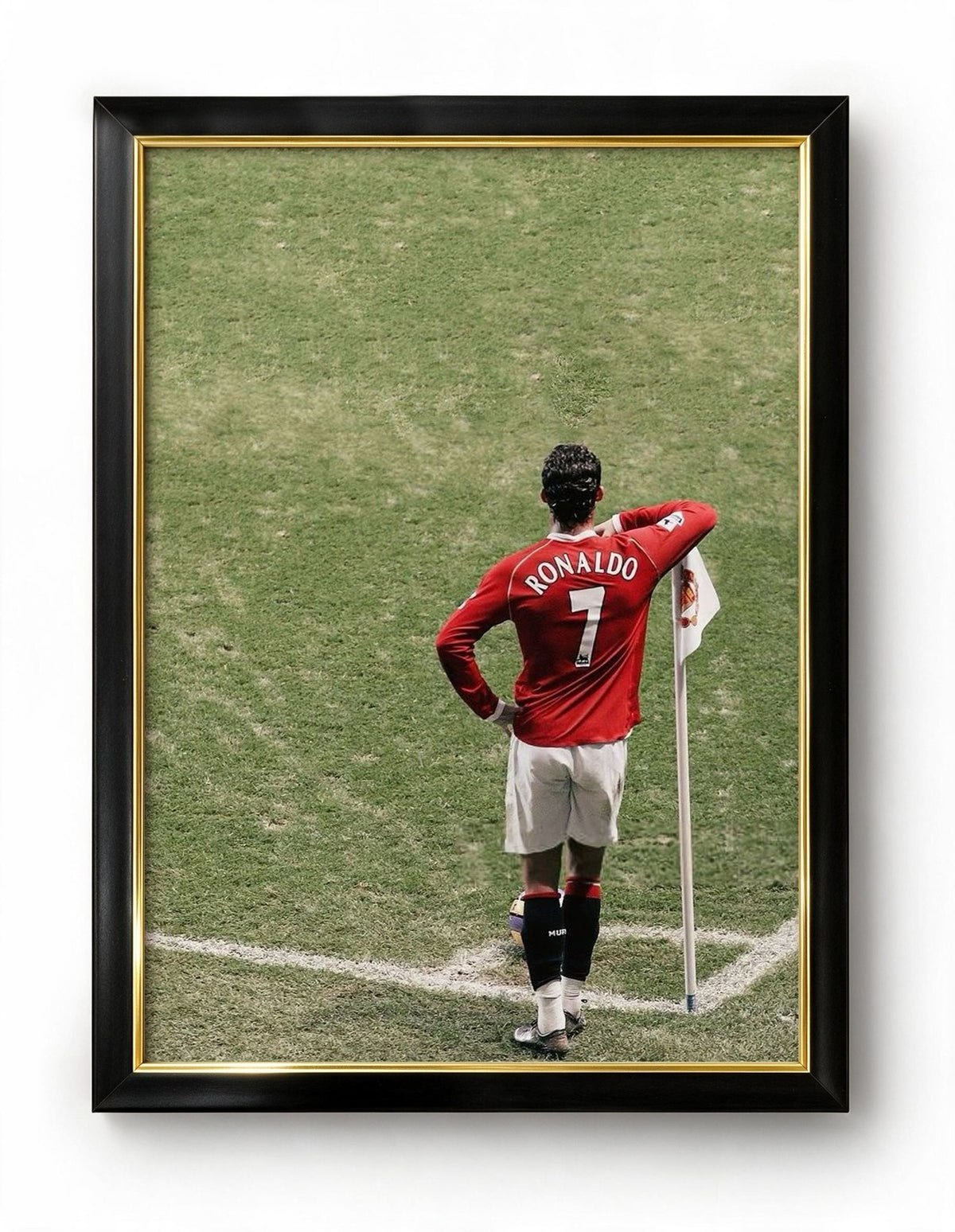 Ronaldo Frame