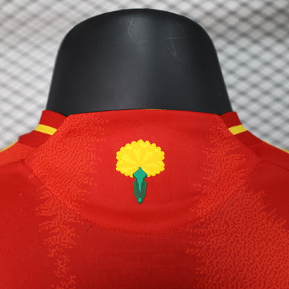 Spain 2025 home jersey