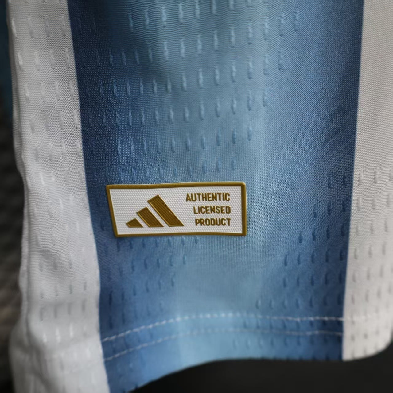 Argentina home 2026 jersey - player version